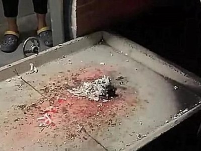 狗死了烧什么？（狗死了后的症状及处理方法）