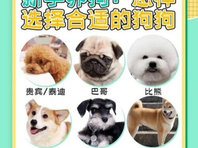 如何正确挑选萨摩耶犬？（掌握技巧辨别，选择最适合的伴侣）