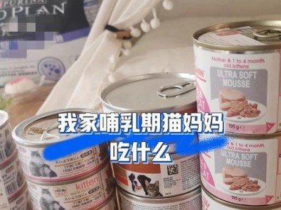 猫咪的营养需求（揭秘猫咪所需的关键营养物质及其作用）