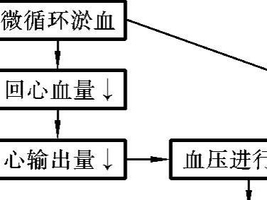 狗狗严重贫血（探索狗狗严重贫血的成因、治疗方法以及预防措施）