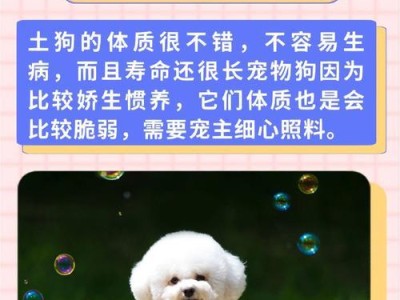 揭秘宠物狗寿命榜，你家狗狗能活多久？（探寻15种常见宠物狗的平均寿命和长寿秘诀）