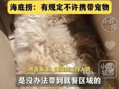 以饭后带狗狗散步，让你和宠物更健康（狗狗散步的好处与注意事项）