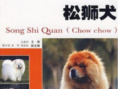 购买松狮犬的价格及注意事项（了解松狮犬的价格和购买要点，让你做出明智的选择）