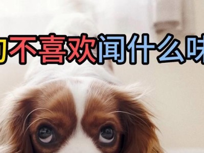 揭秘狗喜欢的口味（探索狗喜欢的美食口味与品味的奥秘）