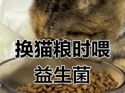 给猫止吐的有效方法（让你的猫舒适健康，避免呕吐问题的发生）