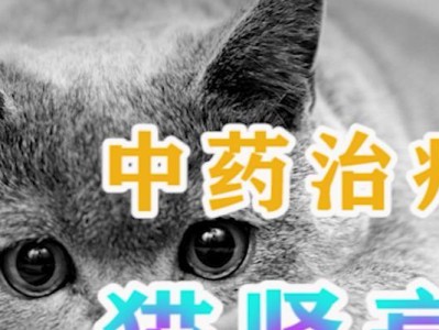 揭秘宠物医疗花销大的原因（医疗费用差异巨大，感冒就花1000块不同医院价格相差上千元）
