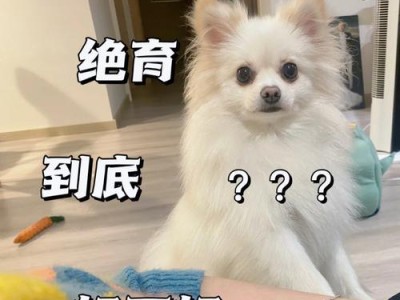 博美公狗绝育的利弊分析（为宠物长远健康考虑）