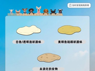 如何判断狗狗是否怀孕了？（掌握狗狗怀孕初期的迹象，助你判断是否它是否怀孕）
