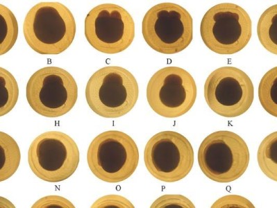 斗鱼孵化（探索斗鱼孵化过程中雄鱼捞取的关键时刻）