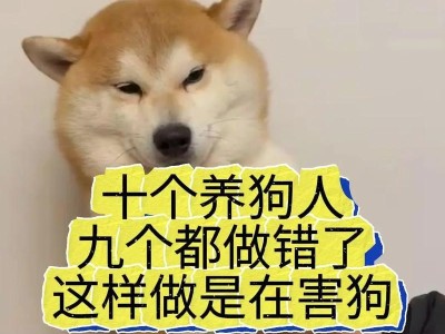 天生守护者——哪些狗狗天生擅长保护主人（狗狗保护本能的神奇力量以及如何培养）