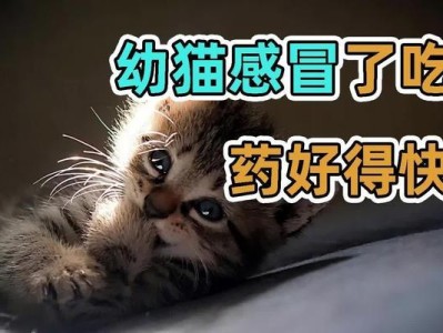 七个月大的猫咪吃什么药好？（探寻宠物医疗保健中的关键知识点）