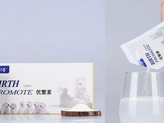 狗狗怀孕30天的饮食指南（为即将当妈妈的狗狗提供正确的营养）