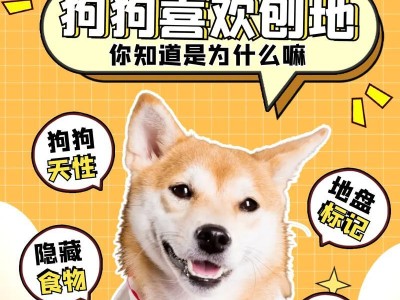 如何阻止狗狗刨土行为（宠物爱好者必读，保护花园美好的关键方法）