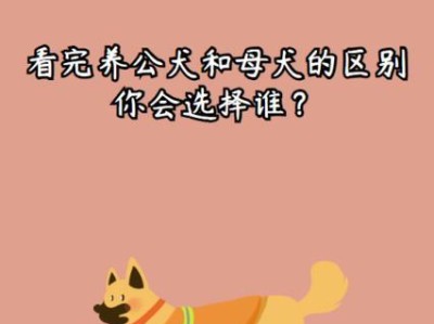 拉布拉多犬（探究拉布拉多犬公母性别区别，选择合适的宠物伴侣）