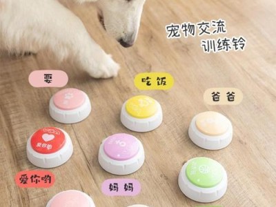 新手父母必读！泰迪宝宝出生注意事项全解析（关于泰迪宝宝出生，你需要知道的一切）