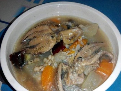 比特犬健康饮食指南（以长壮食谱为主，让爱宠健康成长）