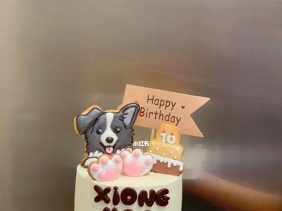 边境牧羊犬的健康饮食（以宠物为主，让你的爱犬吃得健康快乐）