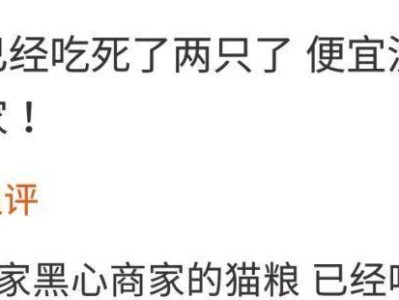 家猫的离世（探寻家猫死亡背后所蕴含的意义）
