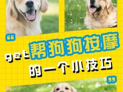 幼犬饮水量比成犬低的原因及注意事项（幼犬饮水量与成犬不同的关键原因及如何正确补充水分）