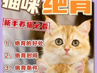关于咸阳猫咪绝育的常见问题解答（多久可以绝育？宠物健康与家庭安全都不能忽视）