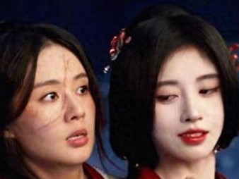 揭秘万能梗的独特魅力（以宠物为主，探索万能梗的多重特征）