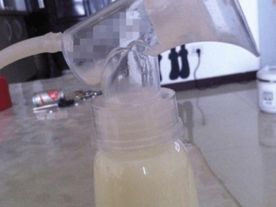 乳汁（探究乳汁的成分、功效与应用）