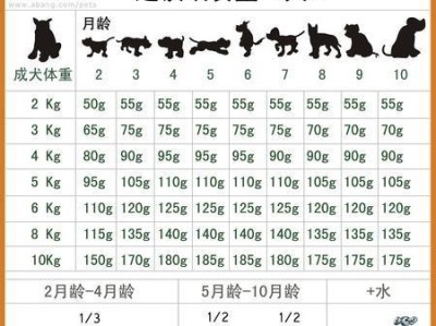 圣伯纳青年犬的饲养管理（如何正确饲养圣伯纳青年犬）