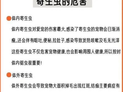 冠毛犬为什么容易得皮肤病？（探究导致冠毛犬皮肤病的原因及解决方法）