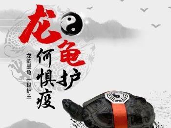 淡水碳龟的饲养方法（全面了解淡水碳龟的饲养技巧，让你成为一名合格的饲养者）