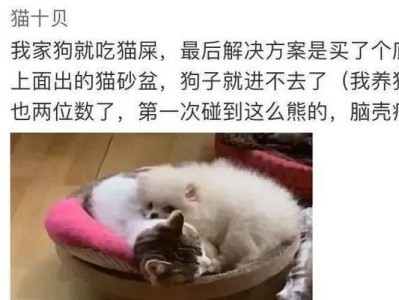如何改掉狗吃猫屎的坏习惯？（养狗人士必知的有效方法）
