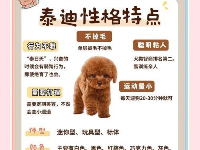 泰迪狗狗驱虫周期之重要性（探索适合泰迪狗狗的驱虫周期，保障它们的健康与幸福）
