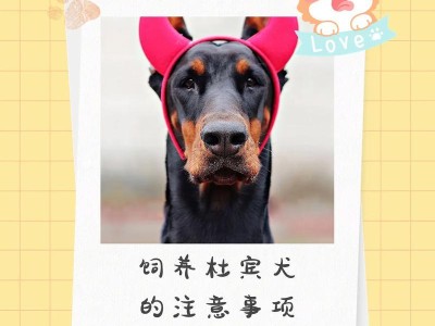 如何正确抱狗狗——宠物爱好者必看（宠物健康与幸福的关键，从抱狗狗开始）