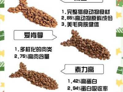 猫咪的饮食要点（猫咪一天需要多少猫粮？了解猫咪所需的营养元素）