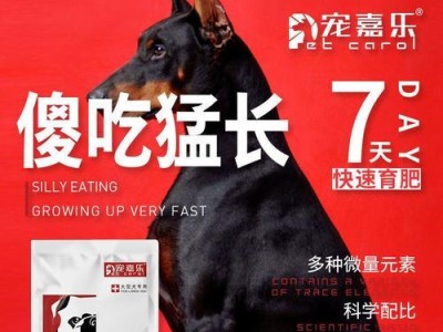 宠物保健品的选择与使用（了解宠物保健品的种类与应用，打造健康的宠物生活）