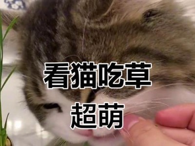 猫咪为什么经常吃草？（探究猫咪吃草的原因和好处）