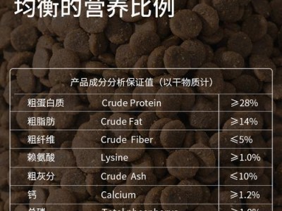 三个月大博美狗狗的适量狗粮饮食需求（根据具体情况来定，量化营养与照顾）