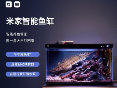 选择合适的鱼缸尺寸，为你的鱼提供舒适的家园（了解适合你的鱼的鱼缸尺寸及关键要素）