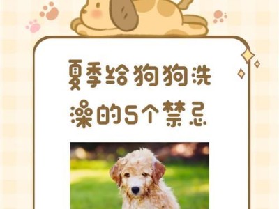 主人必知！喂食宠物的禁忌（如何正确地喂食宠物？宠物饮食安全指南）