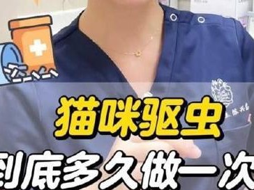 猫咪驱虫后快不行了？！（为什么猫咪驱虫后会变慵懒？如何帮助猫咪恢复活力？）
