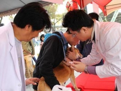 狗献血后多久恢复？（了解狗献血后的恢复时间和注意事项）