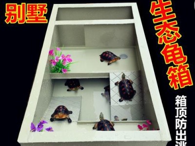 水龟与陆龟的区别（比较水龟和陆龟的饲养特点，选出最适合自己的宠物伙伴）