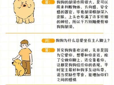 《揭秘6个新生幼犬的冷知识》（了解你的狗狗，从幼犬开始）
