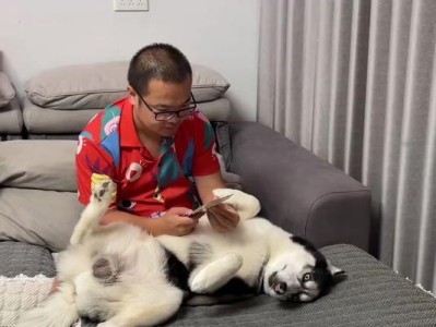 狗狗的肉食搭配之道（为宠物狗提供营养均衡的肉食搭配方案）