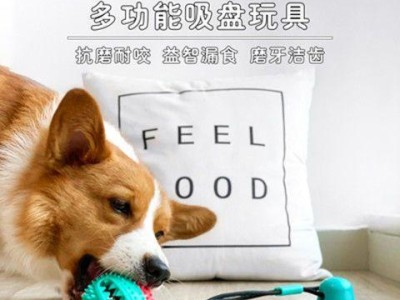 漏食球的好处——让狗狗健康快乐（为宠物狗狗准备漏食球，让它们快乐健康成长）