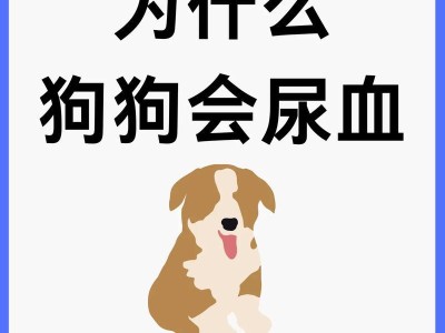 狗狗交配时的出血现象及其正常与异常情况解析（了解狗狗交配时出血的原因和如何判断正常与异常情况）