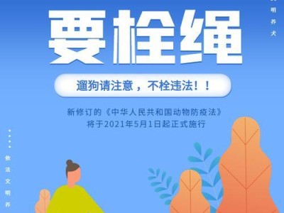 狗狗需要遛多长时间？找出最佳遛狗时间（了解狗狗的运动需求和长时间不遛狗的后果，确保宠物健康快乐）