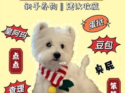 最新狗狗价格表盘点，你家狗买贵了吗？（了解狗狗市场价格趋势，避免被宰割）