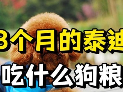 小泰迪的月经饮食指南