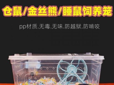 四川毛尾睡鼠饲养全攻略（从饲养环境到日常护理，一本详细的养殖手册）