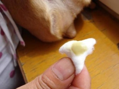 揭秘狗狗腺液的奥秘（探索狗狗腺液的作用与治疗方法）